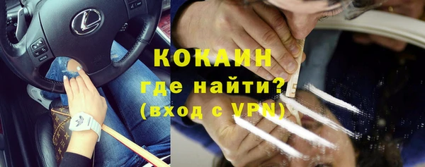 гашик Медногорск