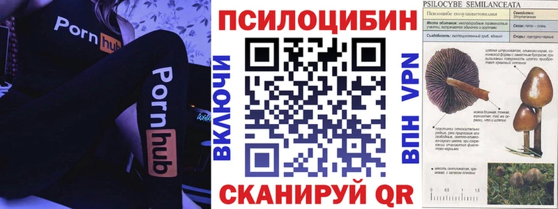 Галлюциногенные грибы Psilocybe  ОМГ ОМГ ссылки  Руза  сколько стоит 