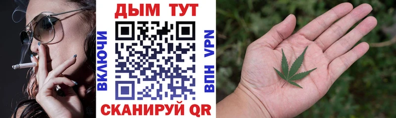 Канабис сатива  blacksprut маркетплейс  Руза  купить наркотики сайты 
